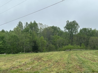 0 McCoinsville Rd Unit 228752, Gainesboro, TN 38568