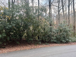 72 Hickory Dr, Sapphire, NC 28774