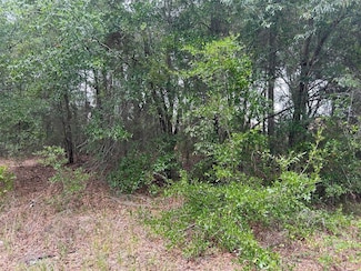 0 NW 17th St Unit MFRG5096900, Ocala, FL 34482