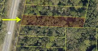 7302 Treiman Blvd, Webster, FL 33597