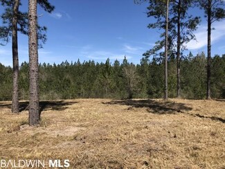 0 Highway 45 Unit 261177, Chunchula, AL 36521