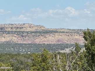 Lot 1114 Woodland Valley Ranch -- Unit 1114, Saint Johns, AZ 85936