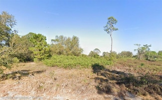 1043 Redbird St, Lake Placid, FL 33852