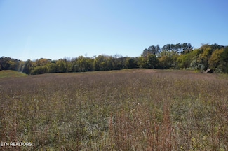 152 Sulphur Springs Rd, Newport, TN 37821