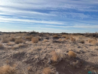 XXXX Acoma Rd SW, Deming, NM 88030