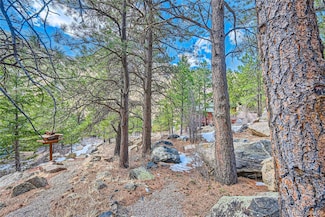0 Skyline Rd, Georgetown, CO 80444