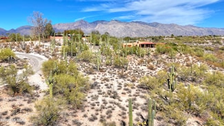 0000 N Camino Kino Unit 253, Catalina Foothills, AZ 85718