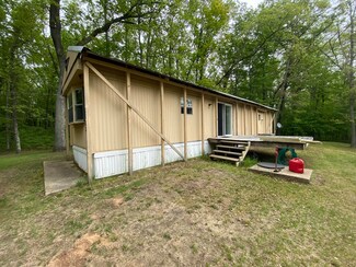 8598 N Bass Lake Rd, Irons, MI 49644