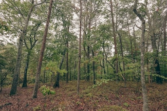 209 Texas Grove Rd, Evensville, TN 37332