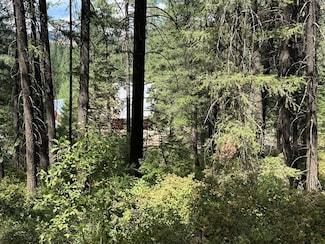 TBD Fruitvale Glendale Rd Unit 11, Council, ID 83612