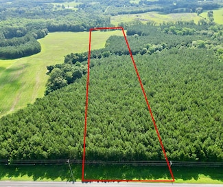 0 U S 231, Brundidge, AL 36010