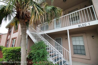 6338 Spring Flower Dr Unit 21, New Port Richey, FL 34653