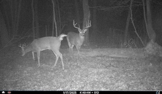 N8510 Fish Rd, New Lisbon, WI 53950