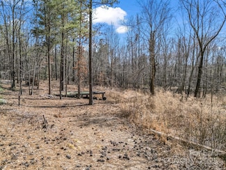 00 Petite Ct, Rutherfordton, NC 28139