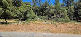 0 Freshwater Ln Unit 225079830, El Dorado, CA 95623