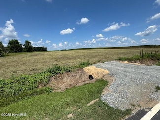 0 Suttontown Rd Unit 100519250, Faison, NC 28341