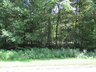 Tract 6 Brookside Ct, Lagrange Township, MI 49031