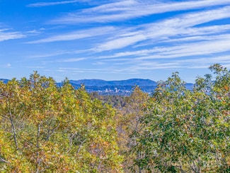 17 Denali Dr, Asheville, NC 28806
