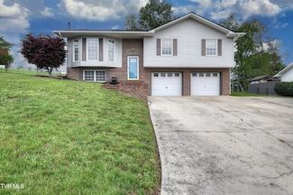 200 Mountain View Dr, Mount Carmel, TN 37645