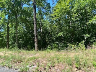 35 Tulip Poplar Ln, Leitchfield, KY 42754