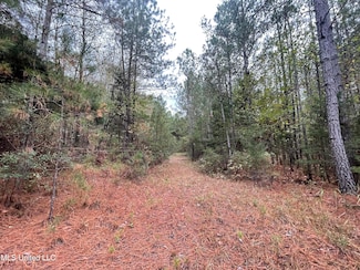 000 Kellis Store Rd, de Kalb, MS 39328