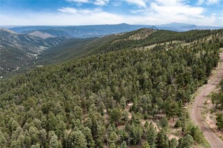 12888 Piano Meadows Dr Unit 8, Conifer, CO 80433