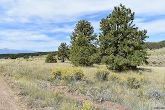 763 Apache Rd, Westcliffe, CO 81252