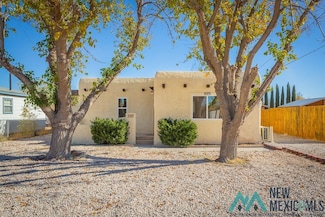 1107 S Roselawn Ave, Artesia, NM 88210