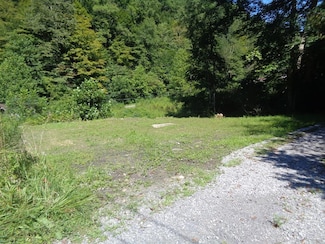 00 Shaft Hollow Rd, English, WV 24892