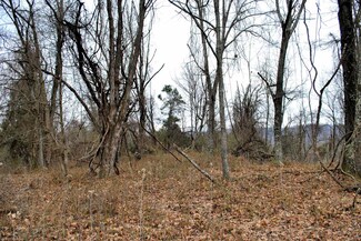 TBD 21+ Ac Union Valley Rd, Riner, VA 24149