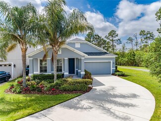 14545 Yellow Butterfly Rd, Windermere, FL 34786