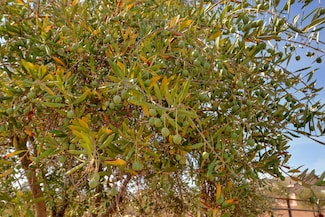 0 Bar Du Ln Unit 225111952, Sacramento, CA 95829