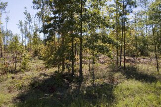 Tract 4 Coleman Chapel Rd, Bartow, GA 30413