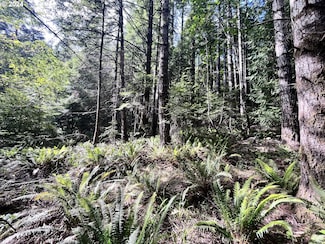 0 Sixes River Rd Unit 24036542, Sixes, OR 97476