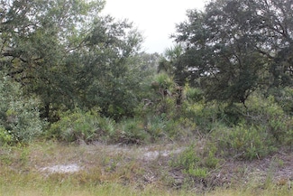 0 NW 304th Unit Lot M MFRG5090060, Okeechobee, FL 34972