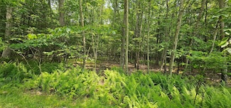 Lot 3 Woods Rd, Barryville, NY 10516