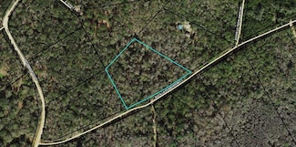 TBD Aucilla Plantation Ct, Greenville, FL 32331
