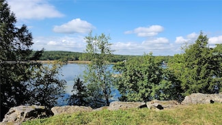 18435 Otter Point Rd, Wellesley Island, NY 13640