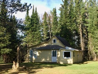 10901 Willow River Rd, Orr, MN 55771
