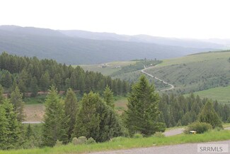 TBD Palisade Dr, Irwin, ID 83428