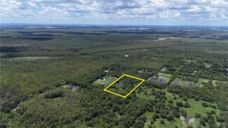 Anhinga Anhinga Rd, Corkscrew, FL 34120