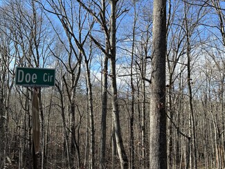 0 Doe Cir Unit RTC2803168, Dunlap, TN 37327