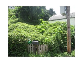 0 Saline Unit 973445, Greenfield, PA 15207