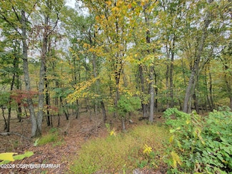 16 & 17 Summit Dr, Middle Smithfield Township, PA 18302