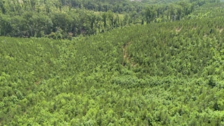 0 Low Gap Rd, Sugar Tree, TN 38380