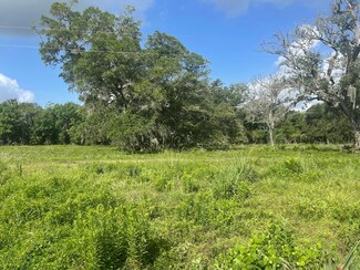 9435 Fm 521 Rd, Brazoria, TX 77422