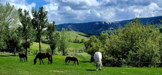 354 Bird Farm Rd, Sheridan, WY 82801