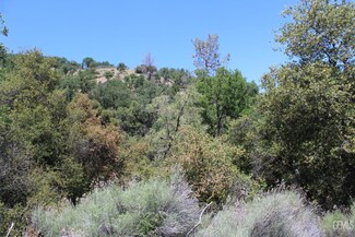 0 Owls Clover Rd Unit 202404987, Caliente, CA 93518