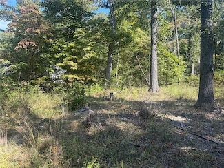 14848 Wild Honey Ln, Garfield, AR 72732