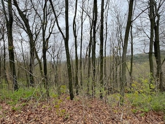 38 Cypress Point Ln, Eureka Springs, AR 72631